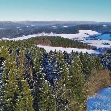 Ferienhaus Gruppenhaus Mariandl Bayerischer Wald Kollnburg