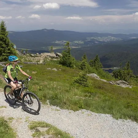 펜션 Gruppenhaus Mariandl Bayerischer Wald *